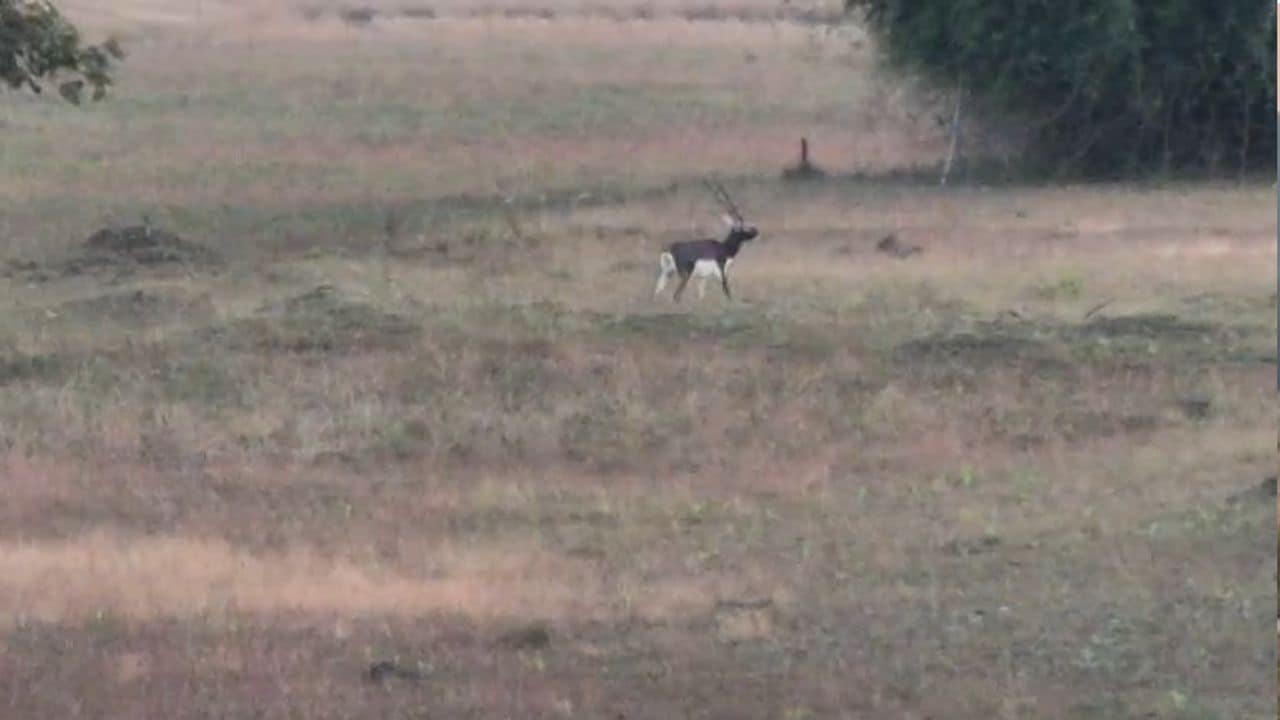 Latest and Breaking News on NDTV Latest and Breaking News on NDTV