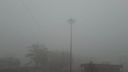 Rajasthan Weather: शेखावाटी में ठिठुरन बरकरार, शीतलहर के साथ आ रही है मावठ; 31 दिसंबर से राजस्थान के इन जिलों में बरसेंगे बादल