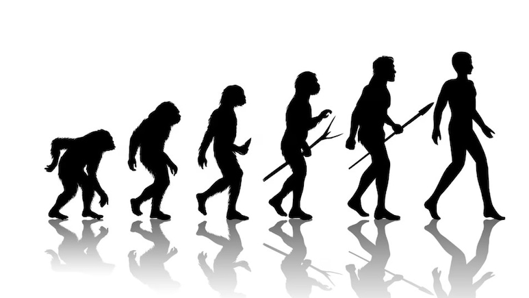 Darwin Theory Row: Govt Says Evolution Still Part Of School Science Curriculum