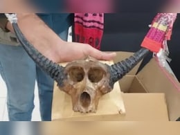 Rajasthan: बीकानेर में&nbsp;संदिग्ध वन्यजीव वस्तु के साथ दो फ्रांस के दो नागरिक हिरासत में, DFO ने क्या बताया ?&nbsp;&nbsp;