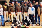 Robbers Caught: एक कॉल से बिगड़ा लुटेरे का फुलप्रफ प्लान, सरहद पार से दबोच लाई पुलिस, लोकेशन पर ऐसे पहुंची?