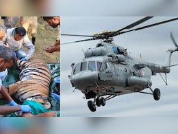 IAF के MI-17 हेलिकॉप्टर से राजस्थान पहुंचेगी बाघिन, MP से पहली बार होगा टाइगर ट्रांसलोकेशन