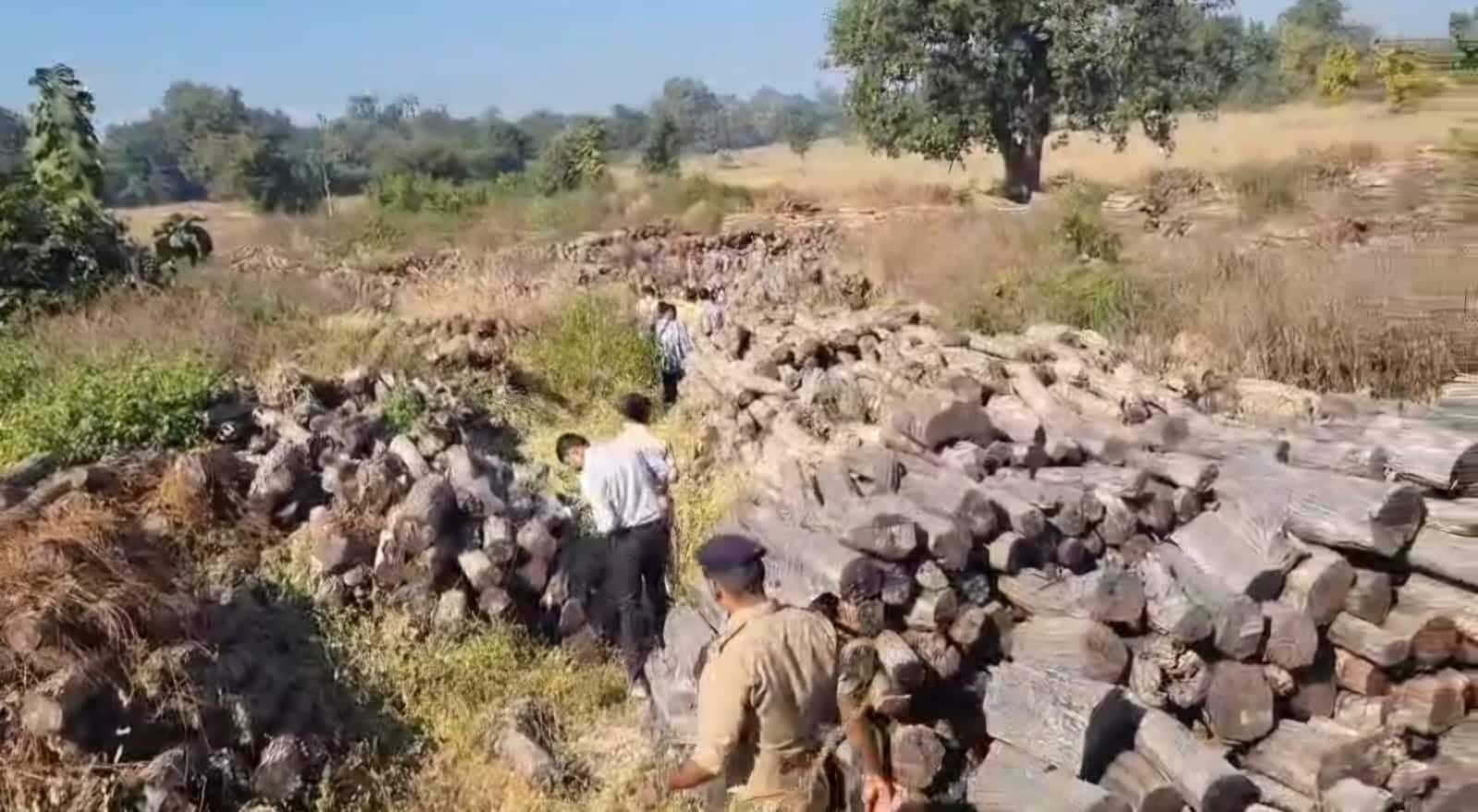 अलिराजपुर में खैर की लकड़ियों की तस्करी का बड़ा नेटवर्क प्रदेश ही नहीं देश की सुरक्षा के लिए भी खतरा है.