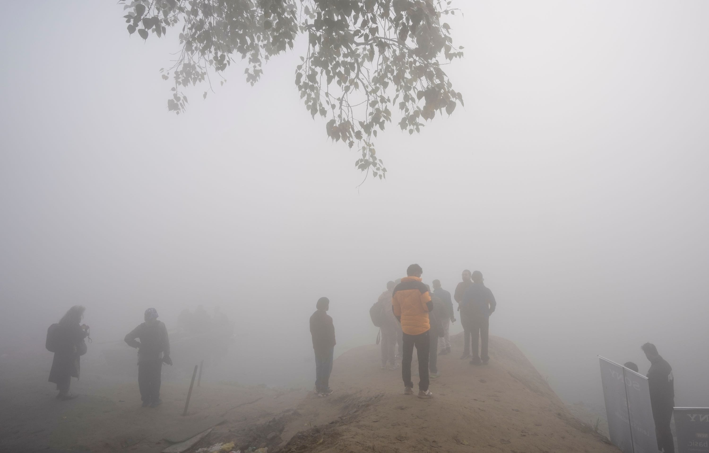 Latest and Breaking News on NDTV Latest and Breaking News on NDTV