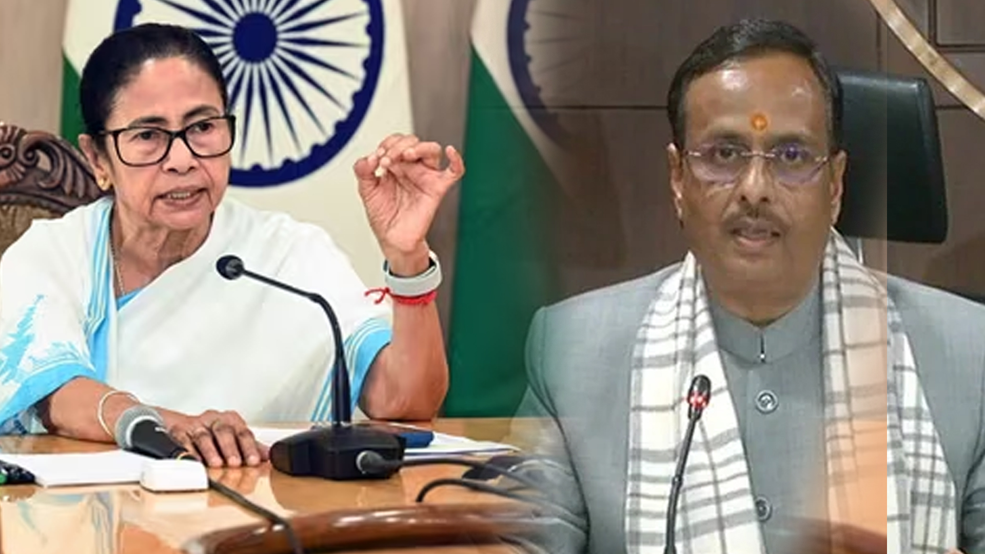 "Seems She Has Chilli Powder On Her Tongue": BJP MP Taunts Mamata Banerjee