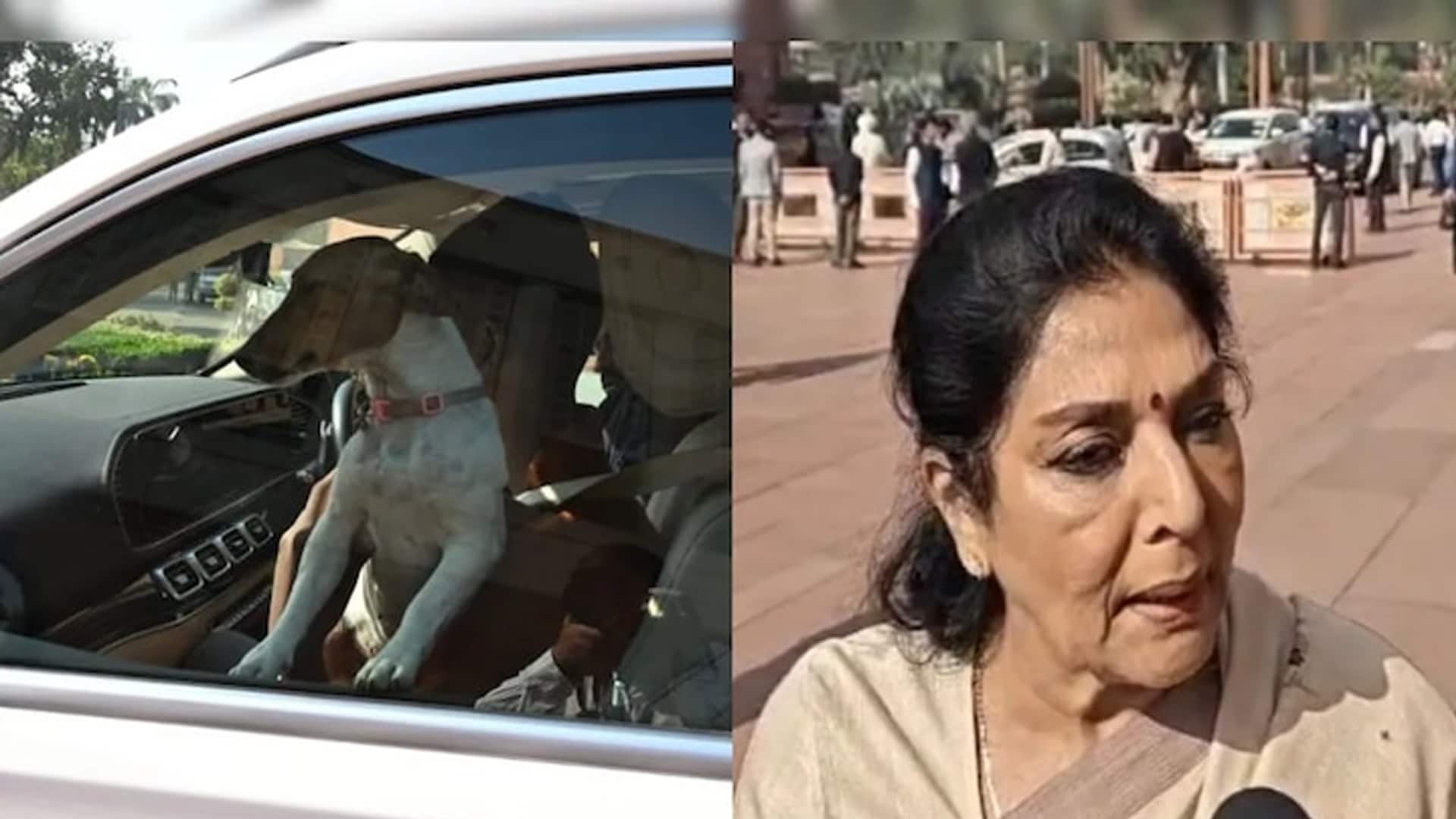 "Those Who Bite Sit Inside": Row After Congress MP Renuka Chowdhury Brings Dog To Parliament