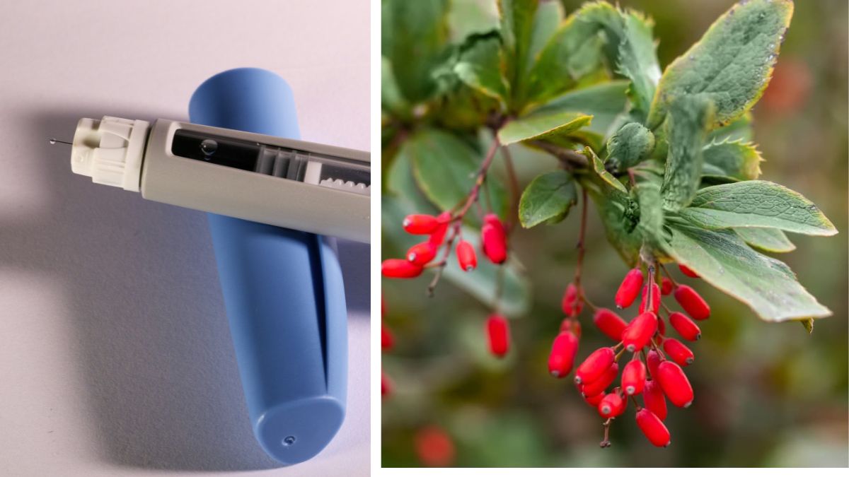 Berberine Is Going Viral As Nature's Ozempic For Weight Loss. Experts Fact-Check Claim