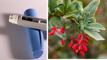 Berberine Is Going Viral As Nature's Ozempic. Experts Fact-Check Claim
