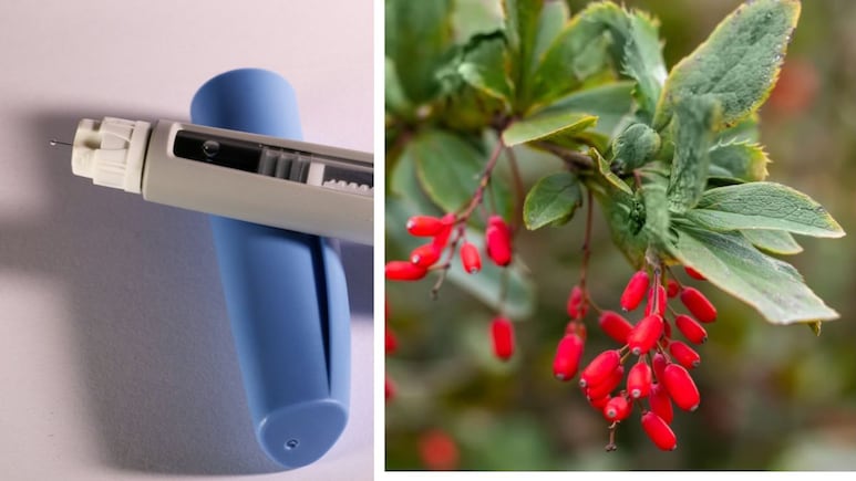 Berberine Is Going Viral As Nature's Ozempic For Weight Loss. Experts Fact-Check Claim