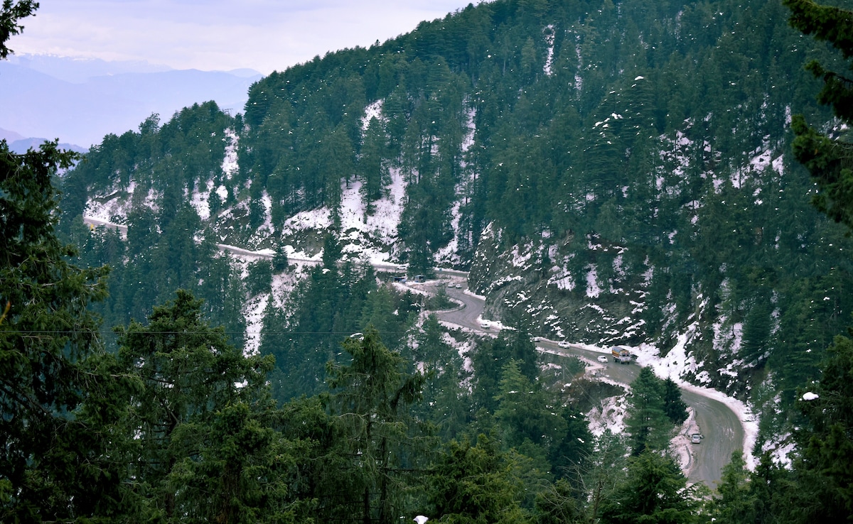 Latest and Breaking News on NDTV