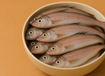 Ever Wondered Why Bombay Duck Is Called Duck? The Answer Will Amaze You