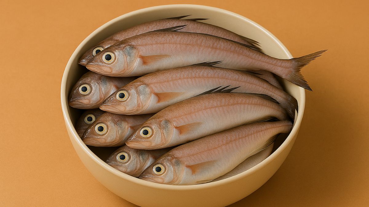 Ever Wondered Why Bombay Duck Is Called Duck? The Answer Will Amaze You