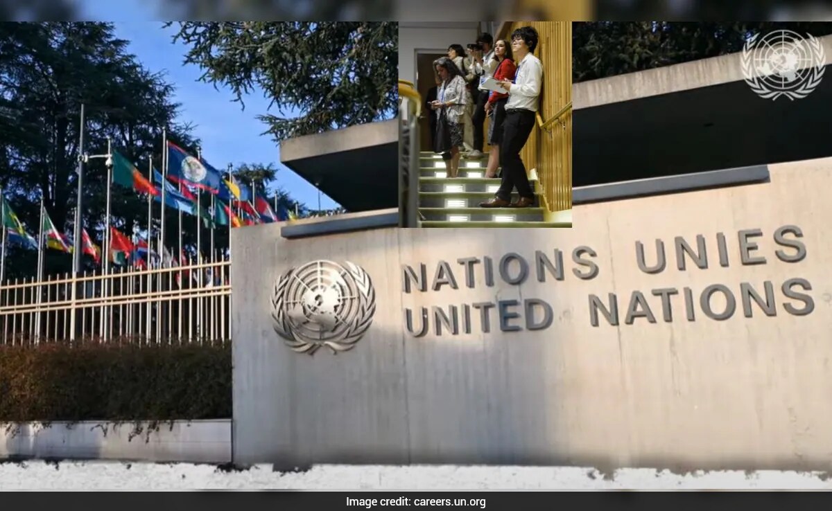 Dreaming Of A UN Career? Apply For This Professional Programme Until December 14