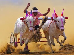 VIDEO: भिर्रssss!  लक्ष्या- सचिन बैलजोडीने मारलं 'पुसेगाव हिंदकेसरी'चं मैदान; पाहा फायनलचा थरार