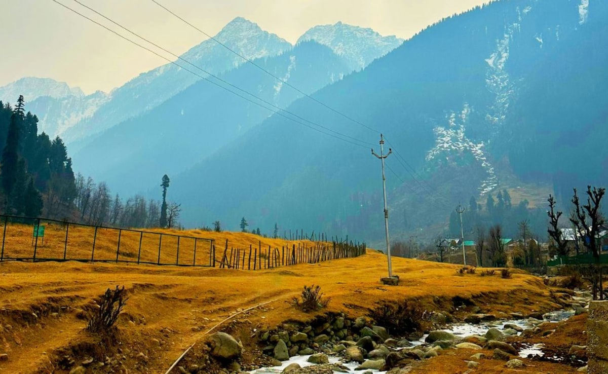 Latest and Breaking News on NDTV Latest and Breaking News on NDTV