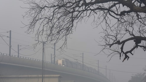 प्रदूषण पर सुप्रीम कोर्ट की तल्ख टिप्पणी- अमीरों के कारण गरीब परेशान,&nbsp; 17 दिसंबर को सुनवाई, कड़े निर्देश जारी कर सकता है SC