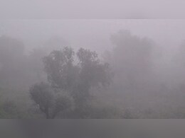 राजस्‍थान में हाड़ कंपाएगी ठंड, 5 ड‍िग्री सेल्‍स‍ियस ग‍िरा पारा; मौसम व‍िभाग का नया अलर्ट