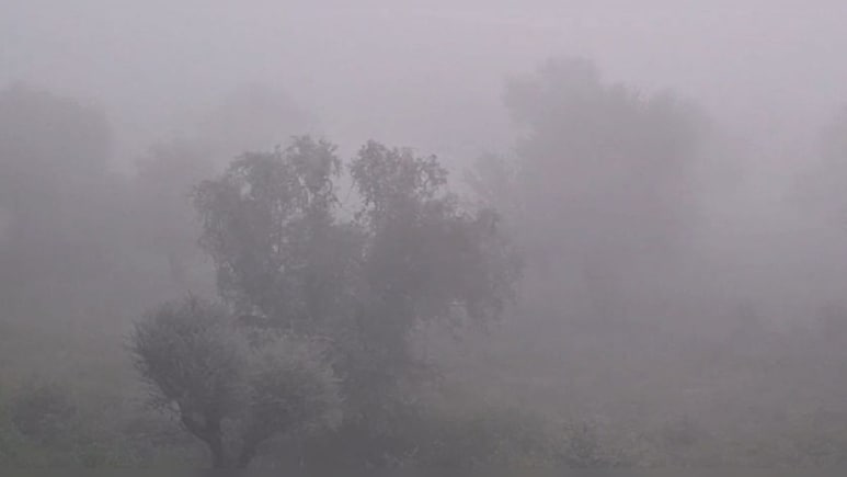 राजस्‍थान में हाड़ कंपाएगी ठंड, 5 ड‍िग्री सेल्‍स‍ियस ग‍िरा पारा; मौसम व‍िभाग का नया अलर्ट