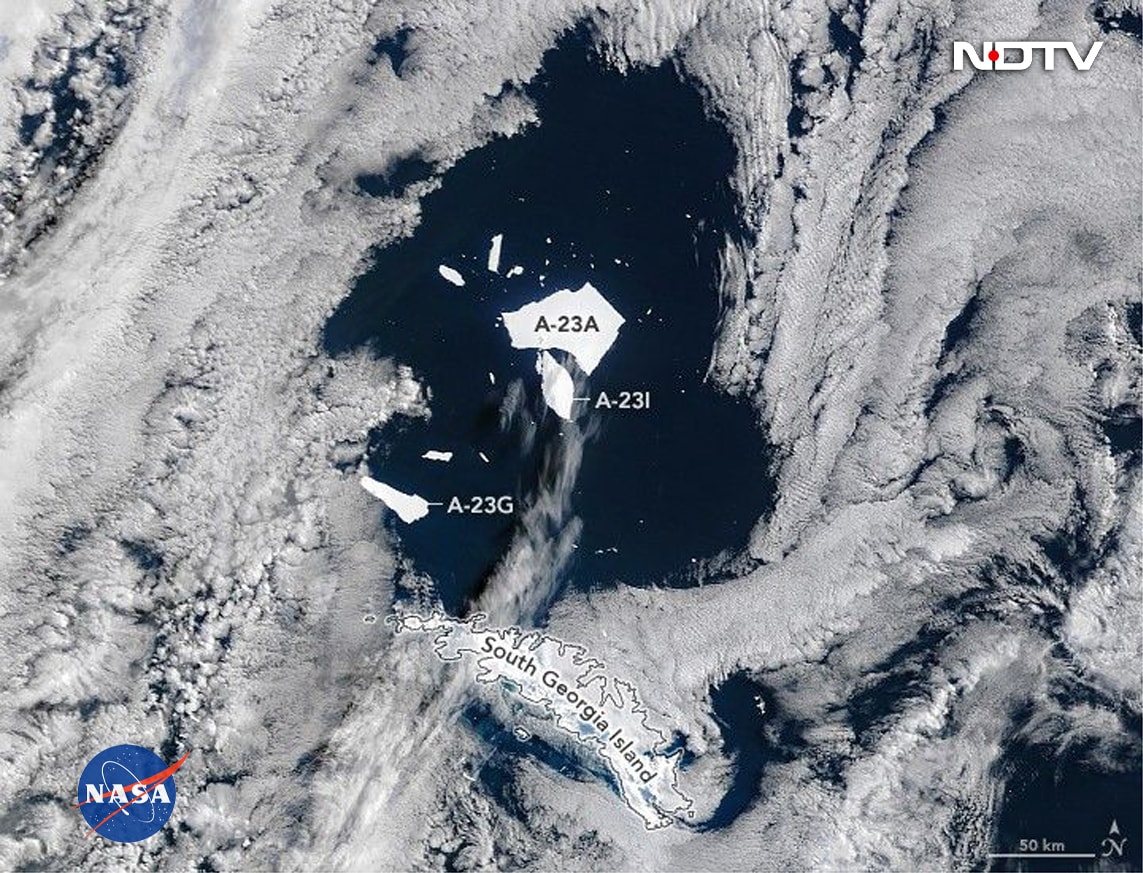 Latest and Breaking News on NDTV