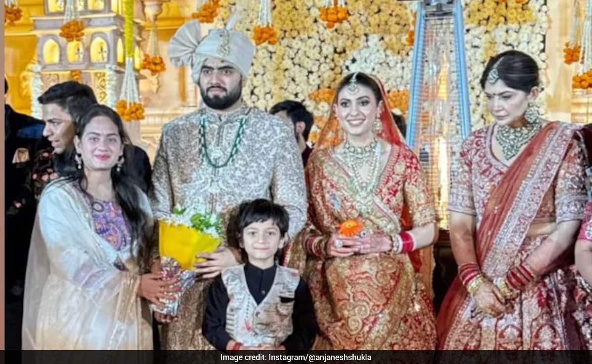BJP MLA's Son's Wedding Sparks Controversy