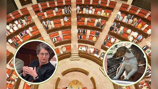 प्रियंका की चाय, सिगरेट, कुत्ता, बिल के अतरंगी नाम और रात भर धरना... ऐसे भी याद रहेगा ये शीतकालीन सत्र