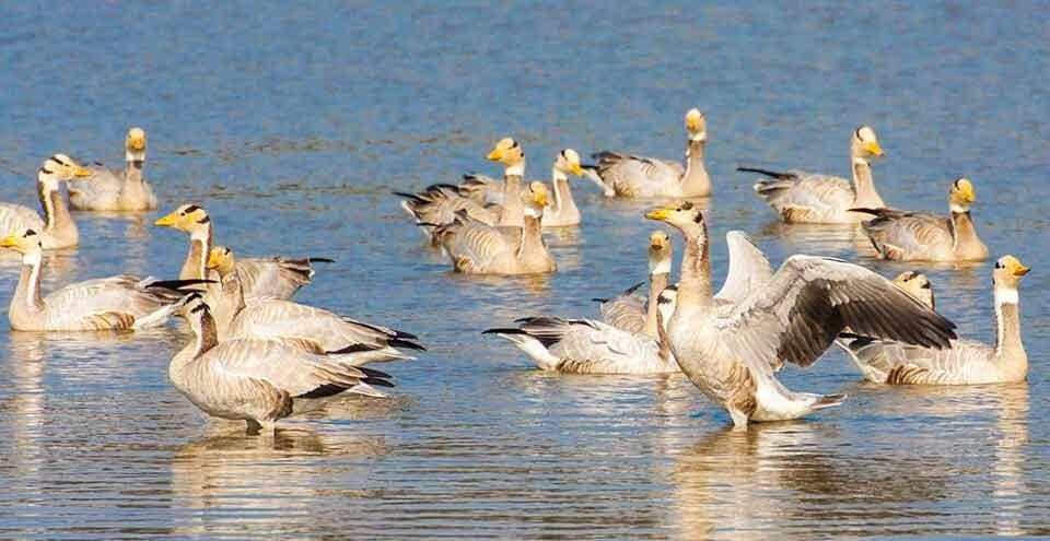 Latest and Breaking News on NDTV Latest and Breaking News on NDTV