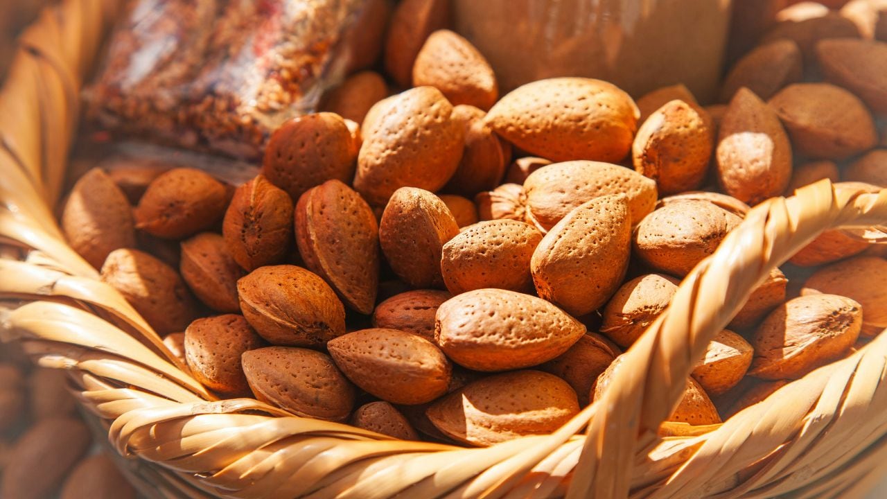 फोटो: Unsplash फोटो: Unsplash