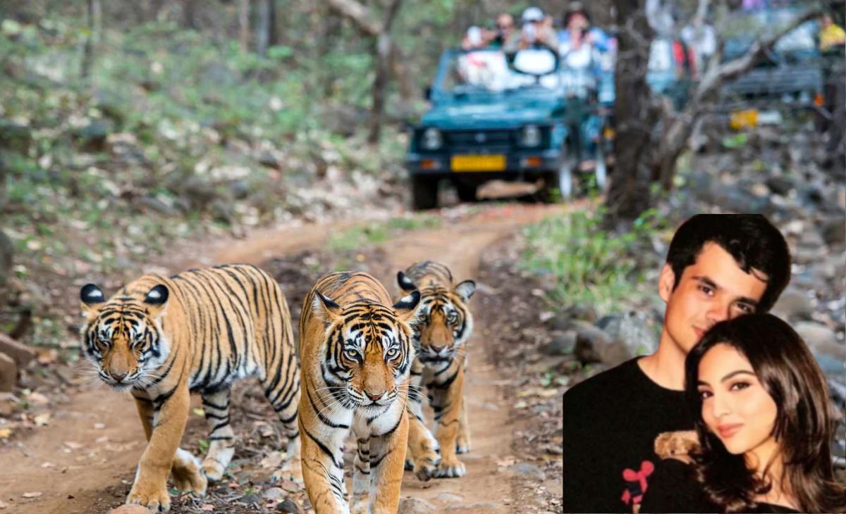कहां है खूबसूरत रणथंभौर, जहां प्रियंका गांधी के बेटे रेहान और अवीवा बेग की सगाई, टाइगर रिजर्व, किला-झील घूमिए