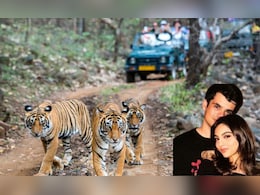 टाइगर-तेंदुआ, खूबसूरत किला और झील, न्यू ईयर में रणथंभौर में घूमने की जगहें, जहां रेहान वाड्रा, अवीवा की सगाई