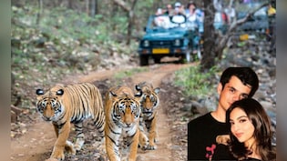 कहां है खूबसूरत रणथंभौर, जहां प्रियंका गांधी के बेटे रेहान और अवीवा बेग की सगाई, टाइगर रिजर्व, किला-झील घूमिए