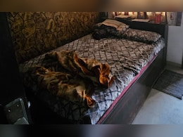 बंद घर में पति-पत्नी के 15 दिन पुराने मिले शव, पड़ोसियों को बदबू आने पर हुआ खुलासा