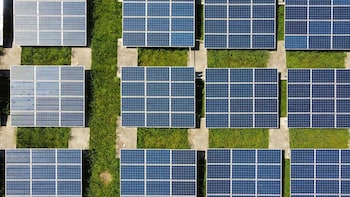 Waaree Renewables Q4 Results: Profit Zooms 66%, Revenue More Than Doubles