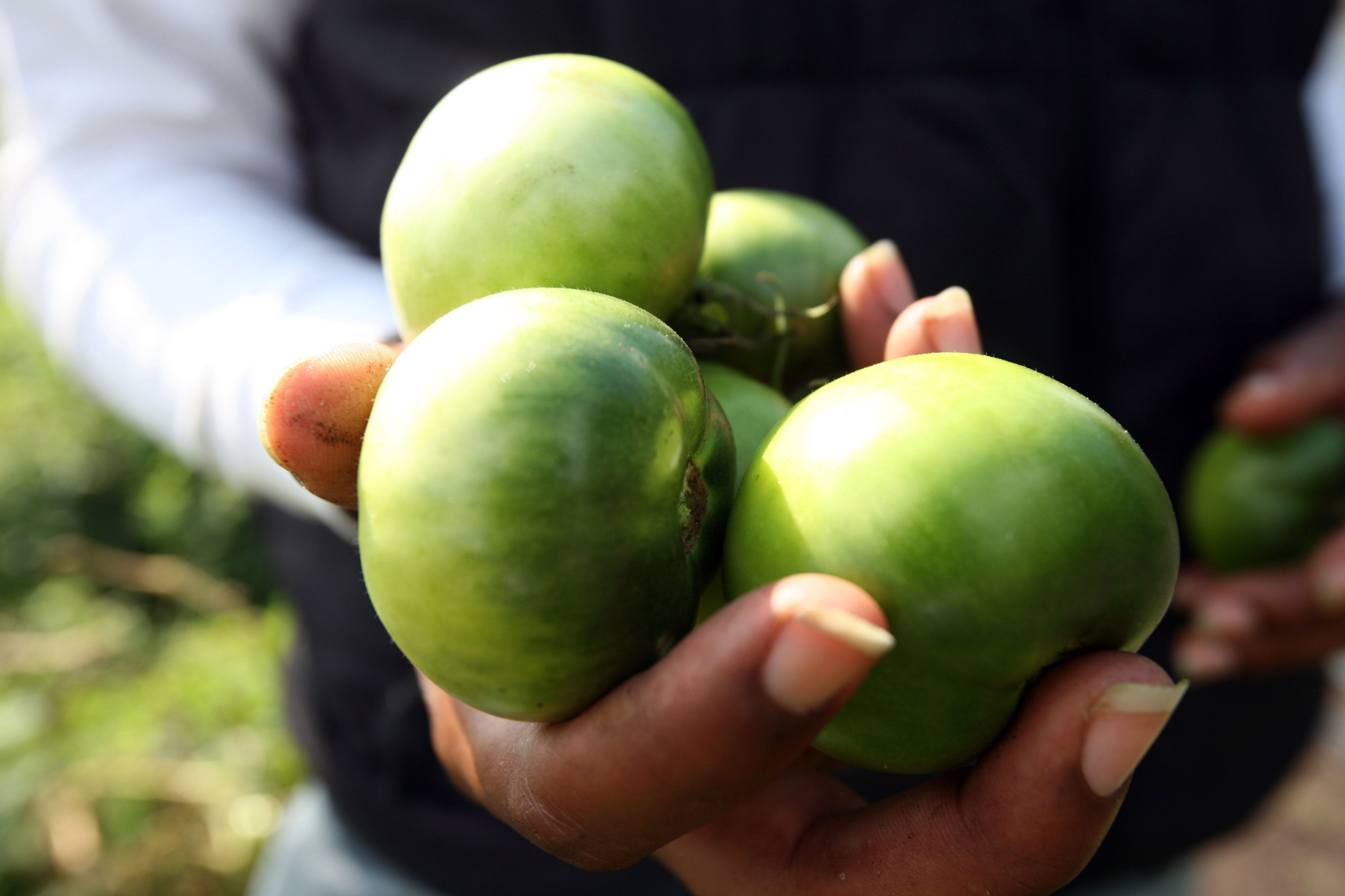 Top Idea Picks For January: KRChoksey