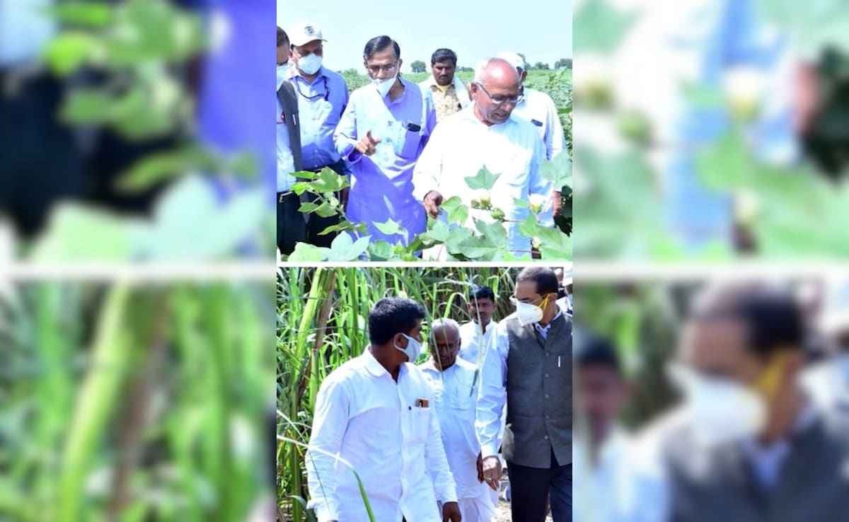 Latest and Breaking News on NDTV