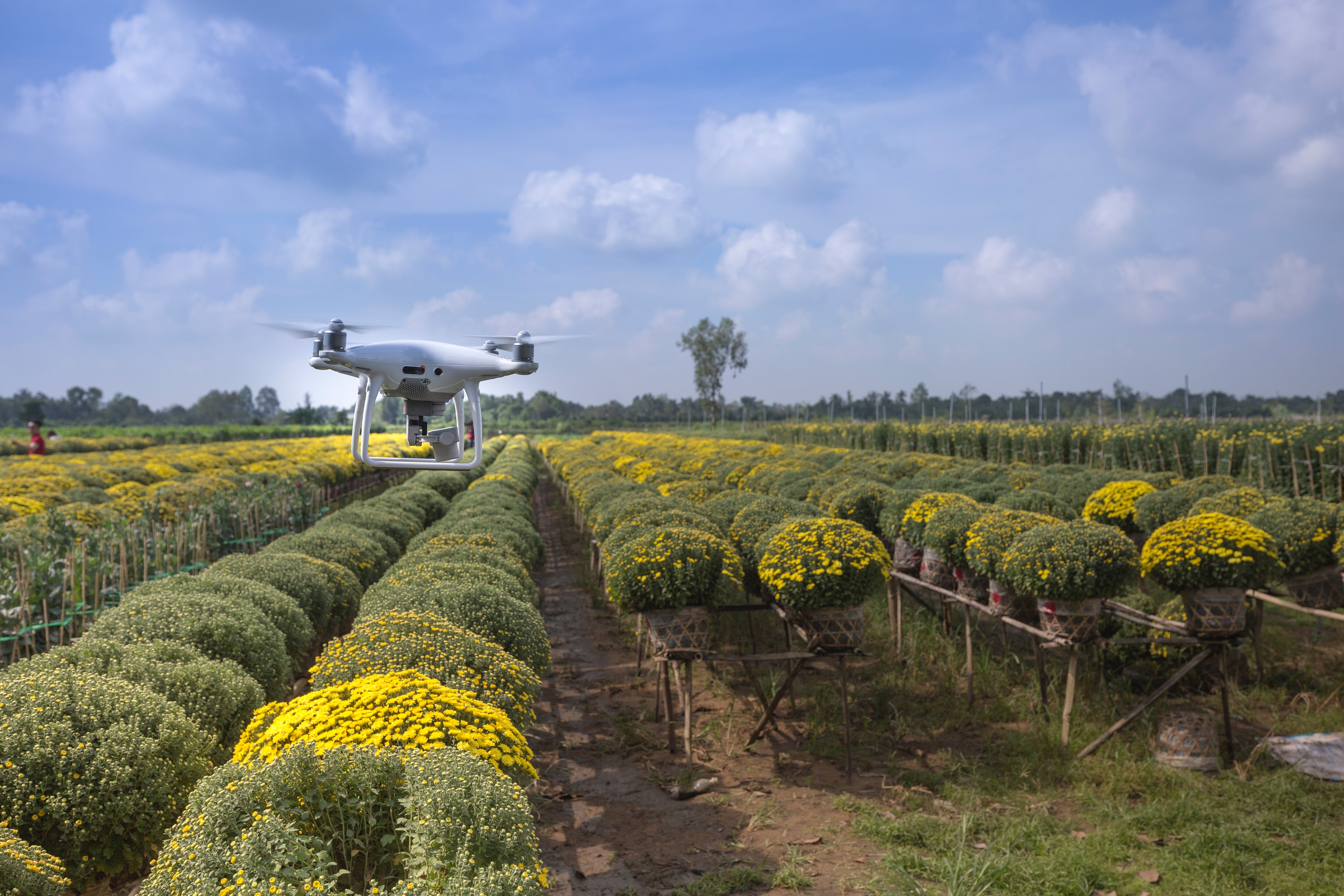 Lower GST Set To Boost Drone Usage In Agriculture, Last-Mile Delivery: Aviation Minister
