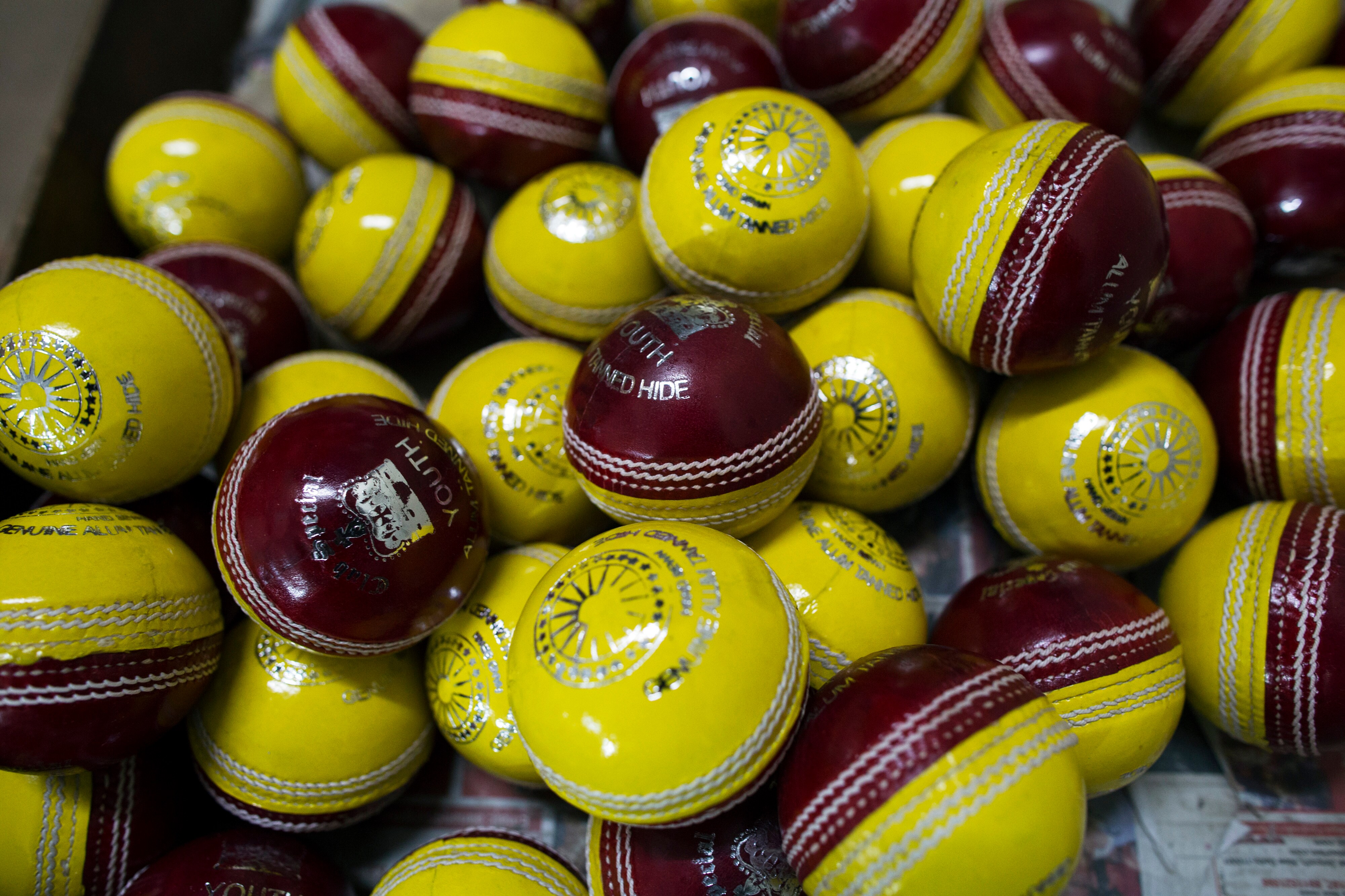 BCCI Must Choose Which Tiger To Ride