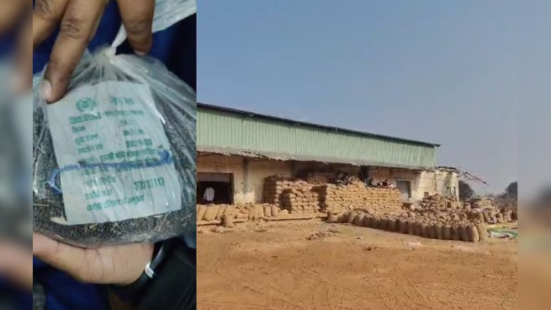 समर्थन मूल्य पर खरीदी में बड़ा घोटाला, किसानों की उपज में 40% तक मिट्टी की मिलावट!&nbsp;