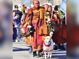 शांति संदेश फैलाने के लिए हजारों KM की पदयात्रा कर रही ये 'फीमेल डॉग'
