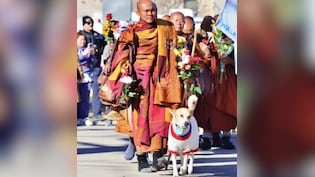 शांति संदेश फैलाने के लिए हजारों KM की पदयात्रा कर रही ये 'फीमेल डॉग'