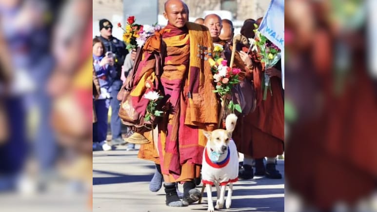 शांति संदेश फैलाने के लिए हजारों KM की पदयात्रा कर रही ये 'फीमेल डॉग'