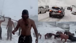 'Snowfall Arrives, Circus Begins': Video Of Shirtless Men In Himachal Reignites Civic Sense Debate