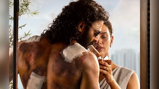 तृप्ति डिमरी  ने सनी देओल की फिल्म में काम करने से स्पिरिट के धांसू फर्स्ट लुक तक की 9 फिल्में, जानें कितनी रहीं हिट