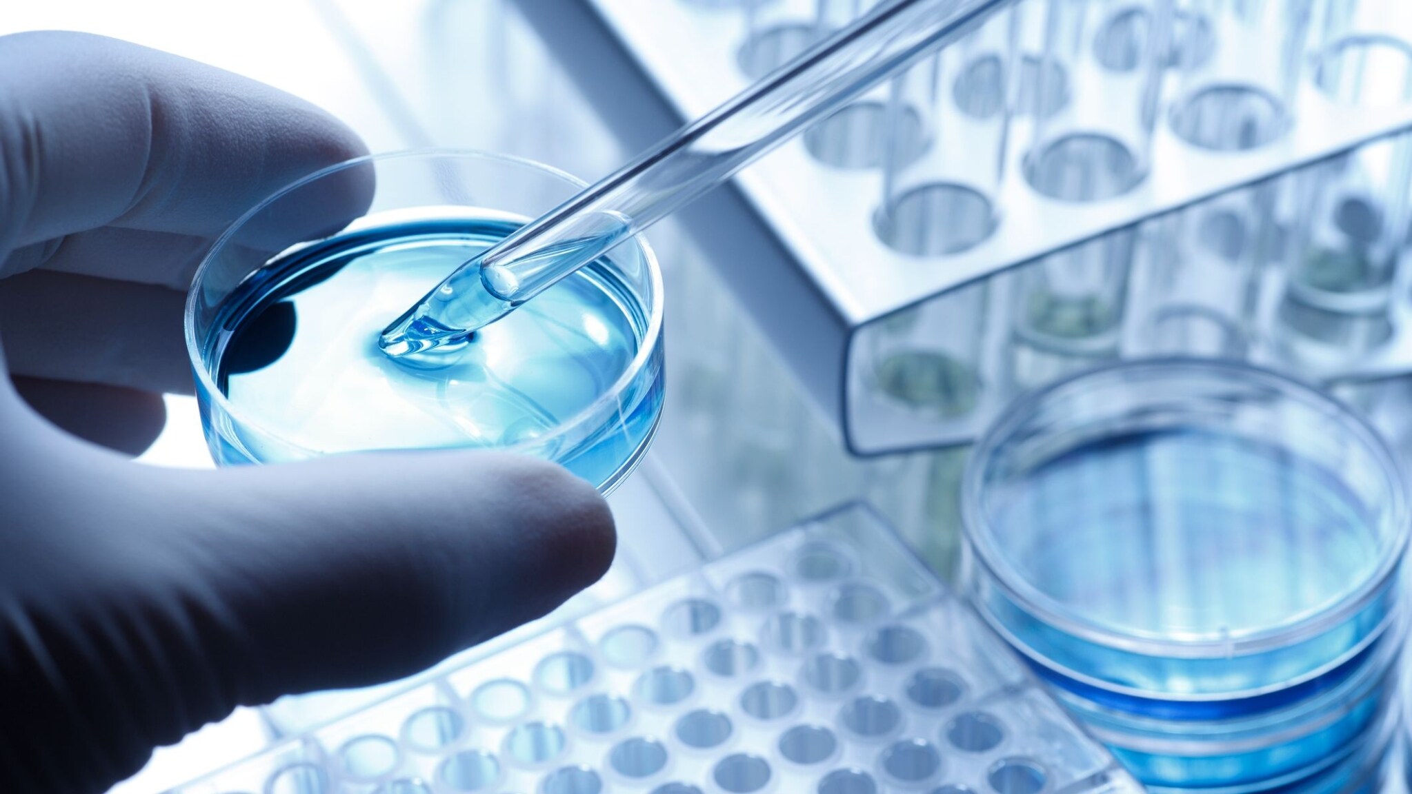 India Logs 614 New Coronavirus Cases, Highest Since May 21