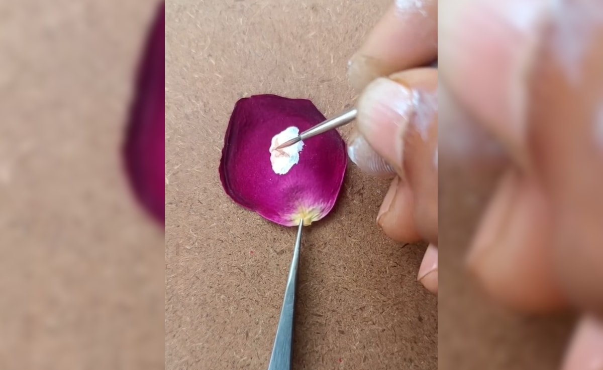 Latest and Breaking News on NDTV Latest and Breaking News on NDTV