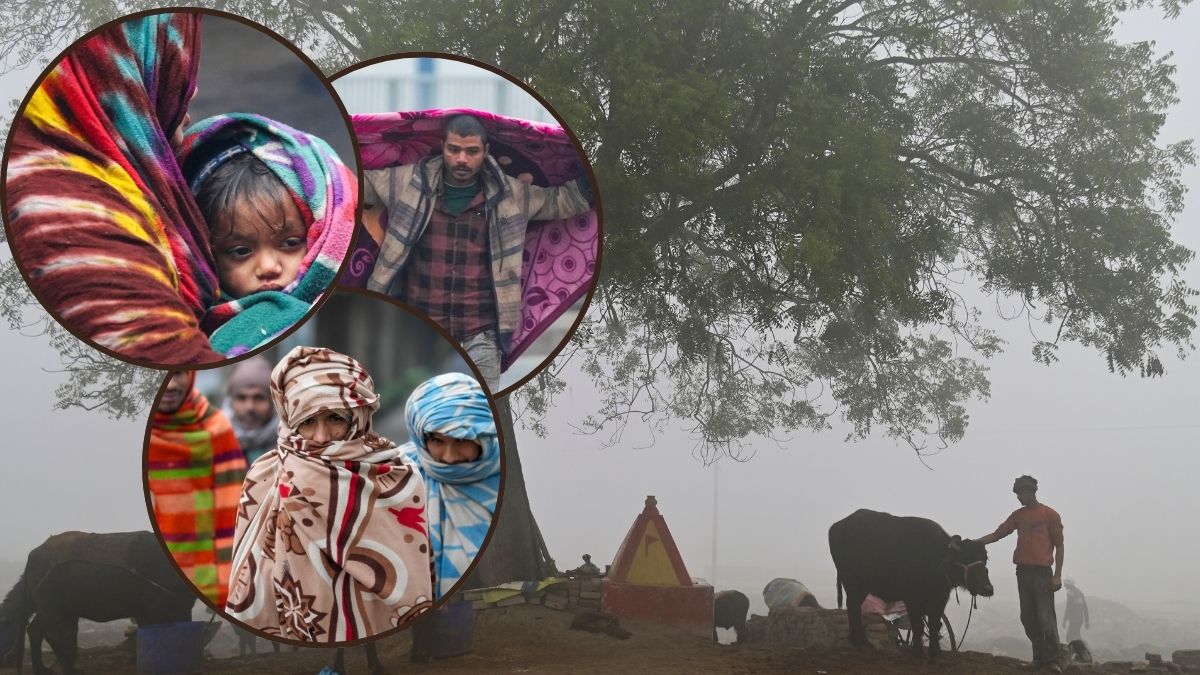 जनवरी 2026 में कैसी रहेगी ठंड? कहां पड़ेगा ज्यादा कोहरा और शीतलहर, IMD ने सब बताया&nbsp;