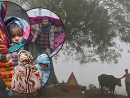जनवरी 2026 में कैसी रहेगी ठंड? कहां पड़ेगा ज्यादा कोहरा और शीतलहर, IMD ने सब बताया&nbsp;