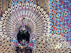 How Persian Ruler Nadir Shah Looted The Peacock Throne From Delhi And Took It To Iran