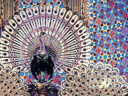 How Persian Ruler Nadir Shah Looted The Peacock Throne From Delhi And Took It To Iran