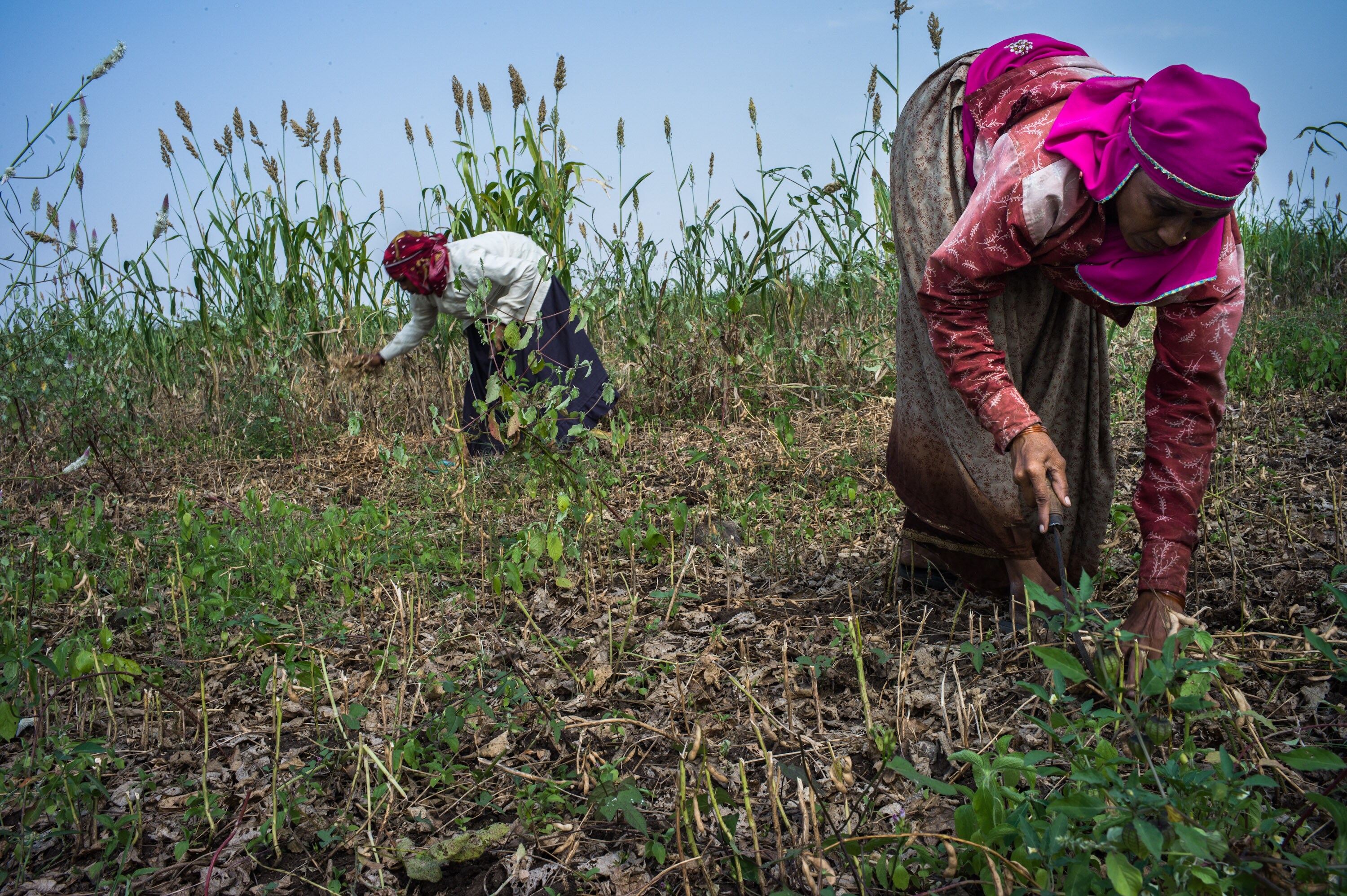 Farm Loan Waiver Gets Thumbs-Down From Former Central Bankers