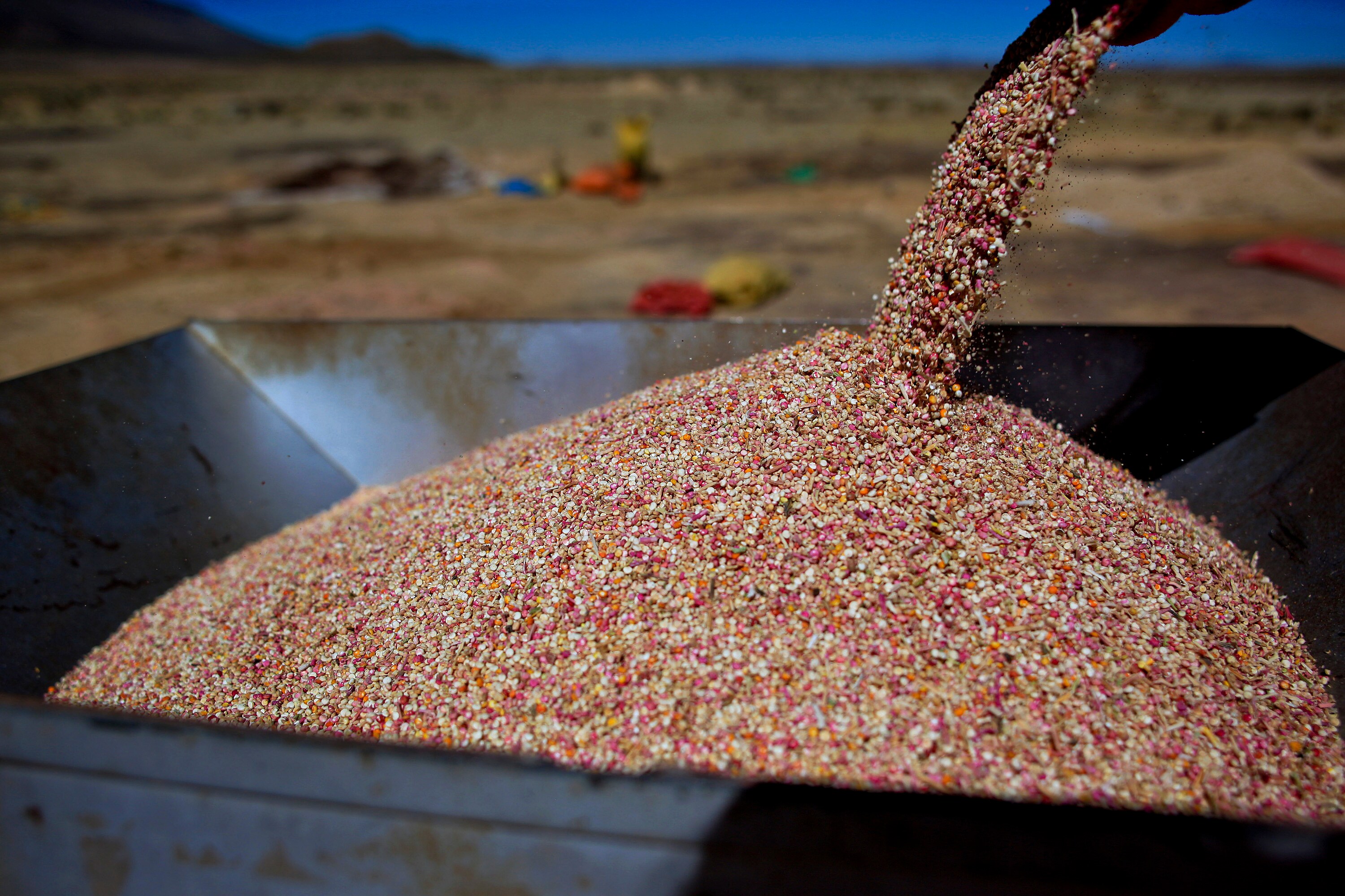 Nuziveedu Seeds Moves Bombay High Court Challenging Rs 138-Crore Arbitral Award To Mahyco Monsanto